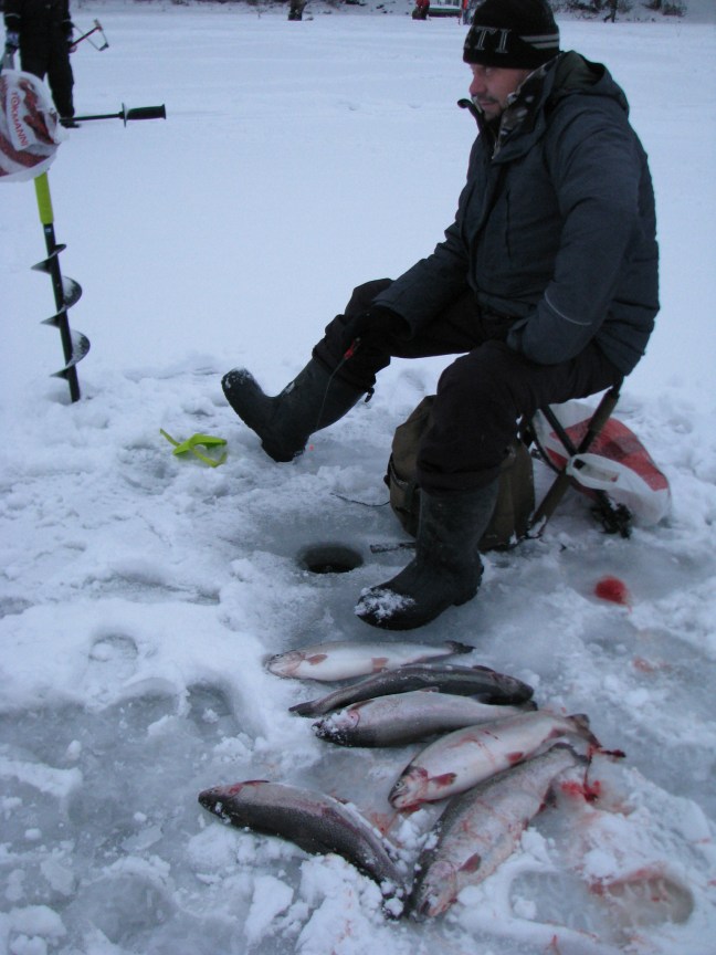 lohipilkkikilpailu2019-1